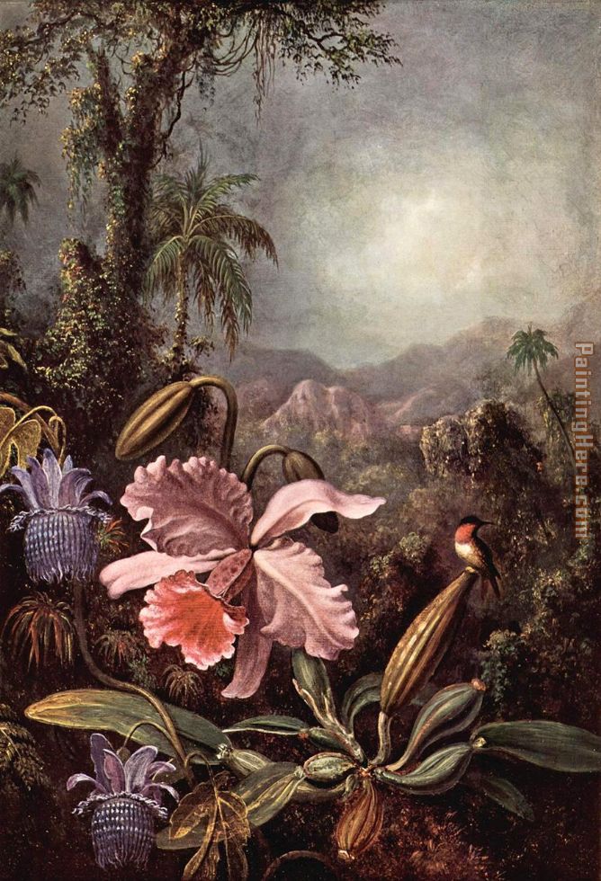 Orchids passion flower and hummingbirds